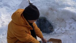 Запускаю Налима в пруд для того чтобы он съел Осетра. Налим подрастет будет классная клевая рыбалка