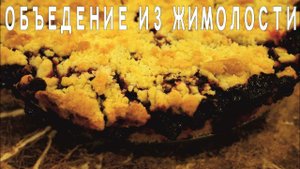 ЖИМОЛОСТЬ в пироге из песочного теста