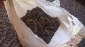 Ростов на Дону, Рынок,Раки СУПЕР