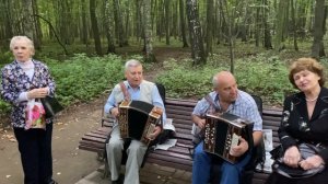 Измайловский парк: песни под гармонь - «Яблоневый вечер».