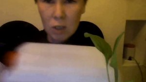 Горшки из канистры, емкость, тара для растений, рассады, зелени