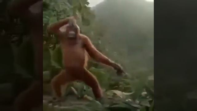 Прикол, рабочая неделя смотреть онлайн