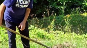 Старинные Рецепты из Диких Фруктов Азербайджанская Кухня Деревенская Кухня Рецепты