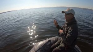 ВОТ ЭТО СОМ! Рыбалка на сома с лодки