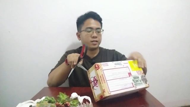 MASSIVE Crassula Plant Haul +What I Don't Like About Them смотреть онлайн