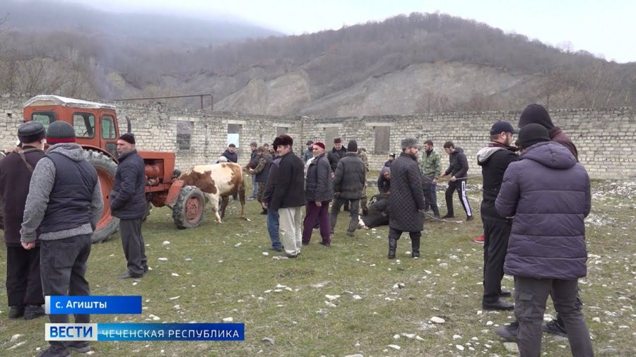 Гостиницы Ведено Чеченская Республика