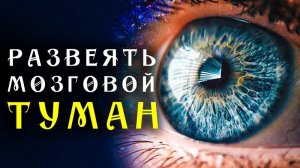 Пробуждение разума 🌀 Адаптированная программа матрица по технологии Гаряева ☀️ SoftRadio.ru