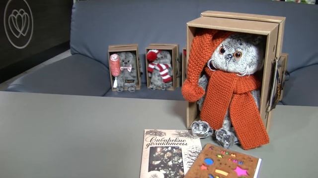 Кот Басик в Вязаной шапке и шарфе смотреть онлайн