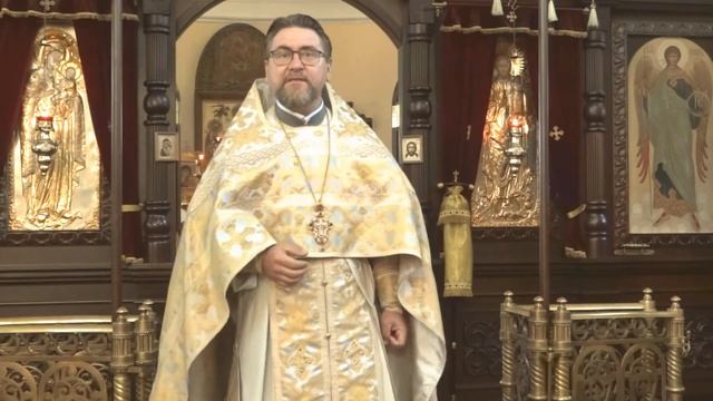 Воскресная проповедь о.Дмитрия 21 июня 2020 смотреть онлайн
