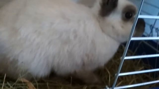 смех и улыбка смотреть онлайн