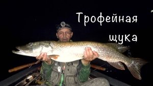 НОЧНАЯ рыбалка и ТРОФЕЙНАЯ щука. Будни нашей дачи.
