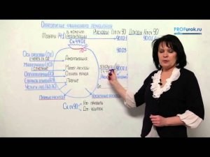 Фрагмент урока № 14. Определение финансового результата. Расчет налога на прибыль