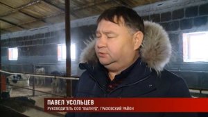 21 02 2019 Умная ферма: в Граховском районе Удмуртии показали современное животноводческое хозяйств