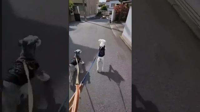 21 ноября 2023 г. смотреть онлайн