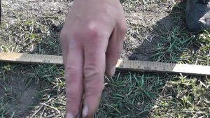 Тест катушки NEL Storm 3 кГц для Minelab X-Terra 505-705-70-74
