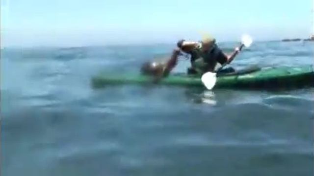 Морской лев запрыгивает в лодку за рыбой смотреть онлайн