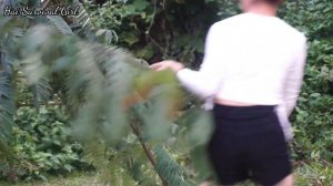 Solo Bushcraft .Girl Camping Alone.Building a Shelter and Sleeping Overnight in the Forest