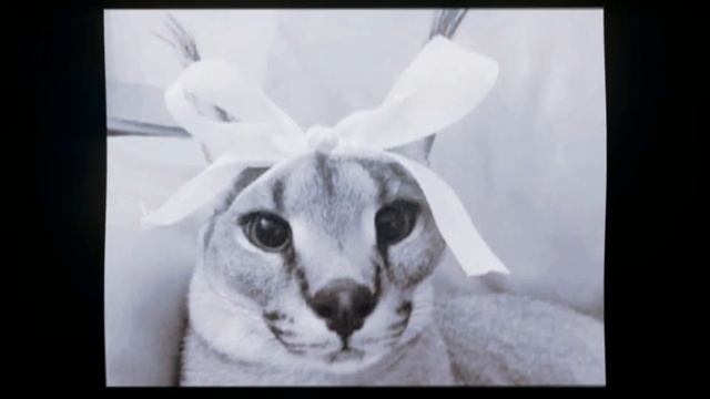 floppa смотреть онлайн