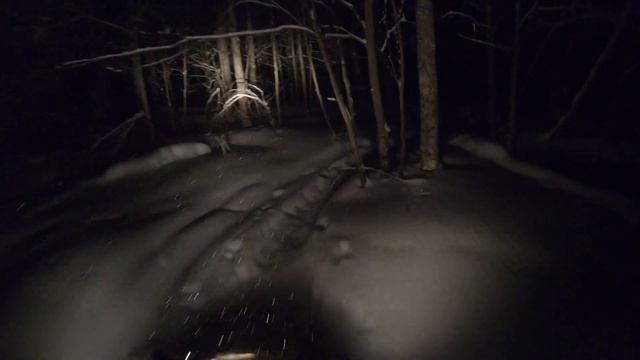 Skidoo Tundra 600 ACE - Deep snow cruising at night