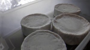 Созревание камамбера
