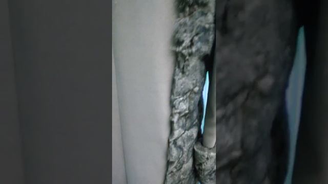 Пошив женского пальто Москва смотреть онлайн