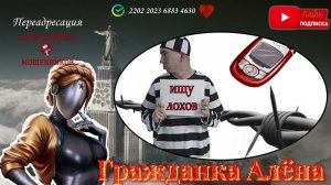 САНКТ ПЕТЕРБУРГСКАЯ ОБЛАСТЬПАВЛИН НЕ ПТИЦА