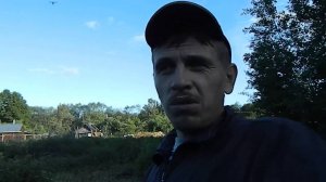 Заготовка крапивы курам // Куры // Чем заняться зимой в деревне // Жизнь в деревне