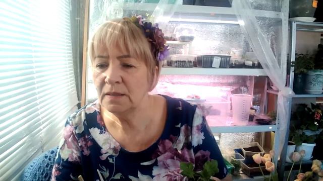 Добрый день, друзья! смотреть онлайн