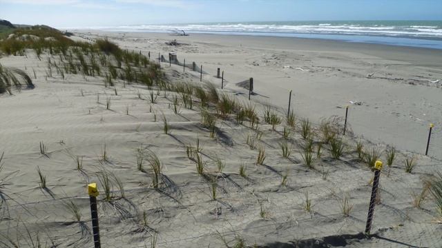 Soft Engineering - How Do We Manage Our Coastlines - GCSE Geography