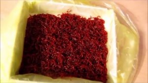 Корм для аквариумных рыбок МОТЫЛЬ  Как правильно морозить мотыля  Проверенно опытным путём