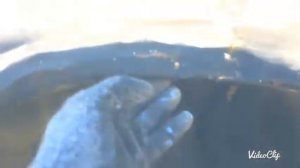 Восстановление переднего стакана