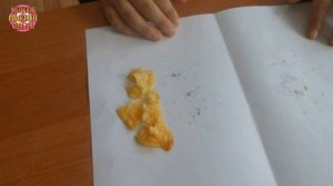 9 удивительных применений бумаги для выпечки!