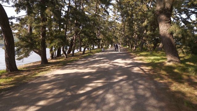 4K・ Прогулка по Амано-Хасидатэ и облёт смотреть онлайн