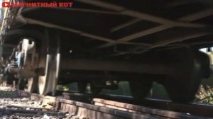 Тоннель любви в Магнитогорске - красивый зеленый тоннель, где находится?