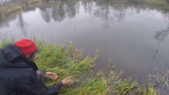 МИКРОРЕЧКА ОСЕНЬЮ РАЗДАЁТ!!! Ловля ЩУКИ на СПИННИНГ!!! Малые реки Калужской обл! смотреть онлайн