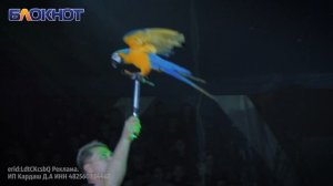 Такого еще не было: впервые цирк-шапито «Золото Африки» в Волгодонске