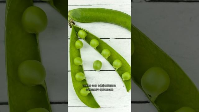 Бобовые фасоли чем полезны? #бобы #фасолевыйсуп #интересныефакты #рекомендации #полезные #вкусно смотреть онлайн