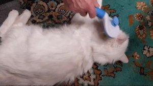 Леся и Сёма - Спинку потрите ещё 😄