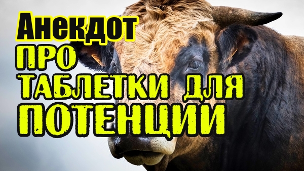 Анекдот про таблетки для потенции. Анекдот дня. #shorts