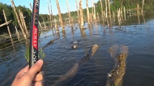 Рыбалка на Карпа | Ловля Карпа на Боковой кивок | Адреналин на пределе !!!