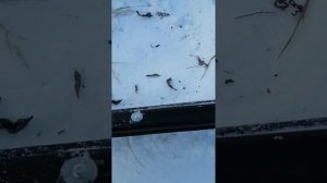 Тофалар 500 с 20 сильным мотором