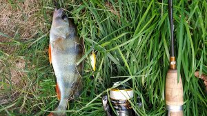 Десна. Выезд 6 августа 2024 года