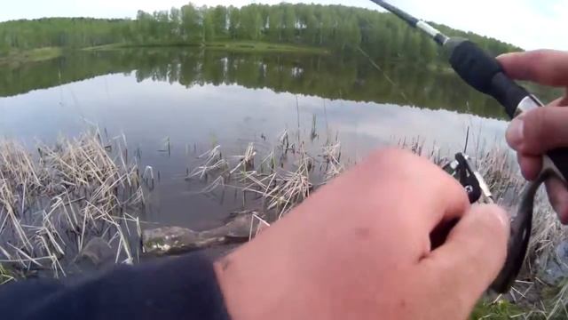 Lucky John Tioga #085 эта приманка по окуню сделала рыбалку на все 100% смотреть онлайн