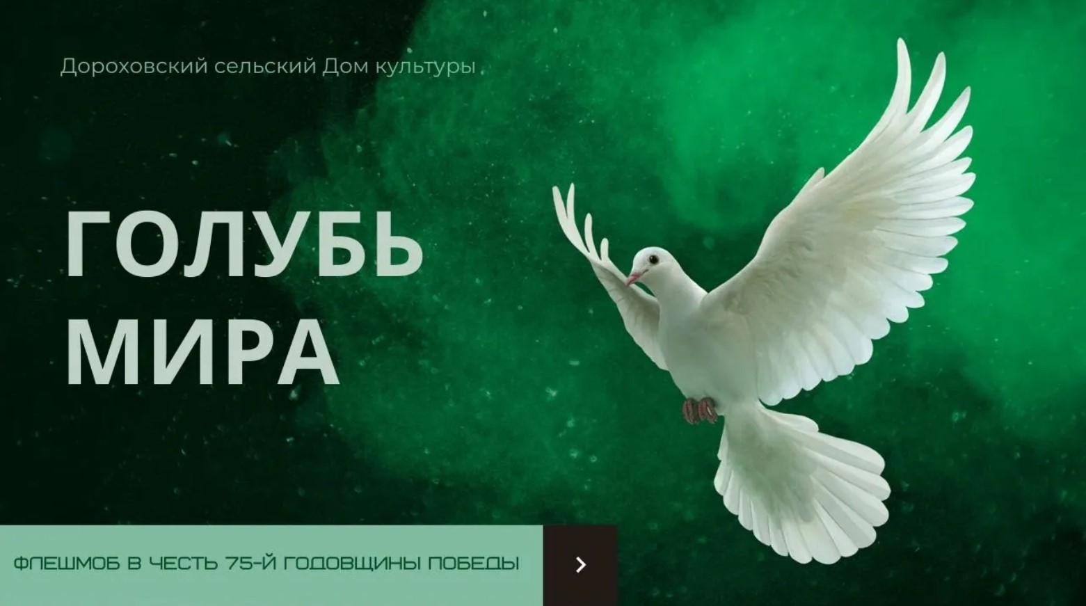 БОЛЬШАЯ ТКАНЕВАЯ АППЛИКАЦИЯ "ГОЛУБЬ МИРА"