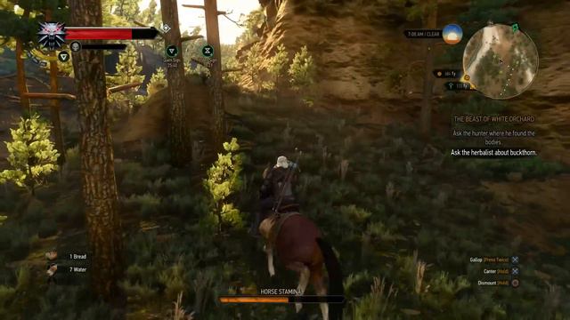 The Witcher 3 Wild Hunt All Place of Power Location Guide - White Orchard смотреть онлайн