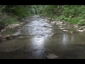 Быстрая проба на ручье.Парочка секретов! Ответ подписчику!Слабонервным не смотреть..)