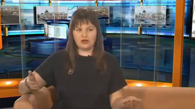 Котокафе в Барнауле!
