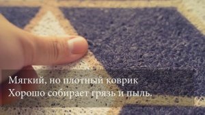 Коврик ПВХ в прихожую Homeflo