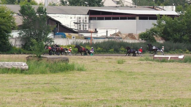 3.07.2021г.Красноярск Приз Дерби Рысистых пород 4-х лет 1600м 1Гит