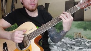 ДДТ- метель